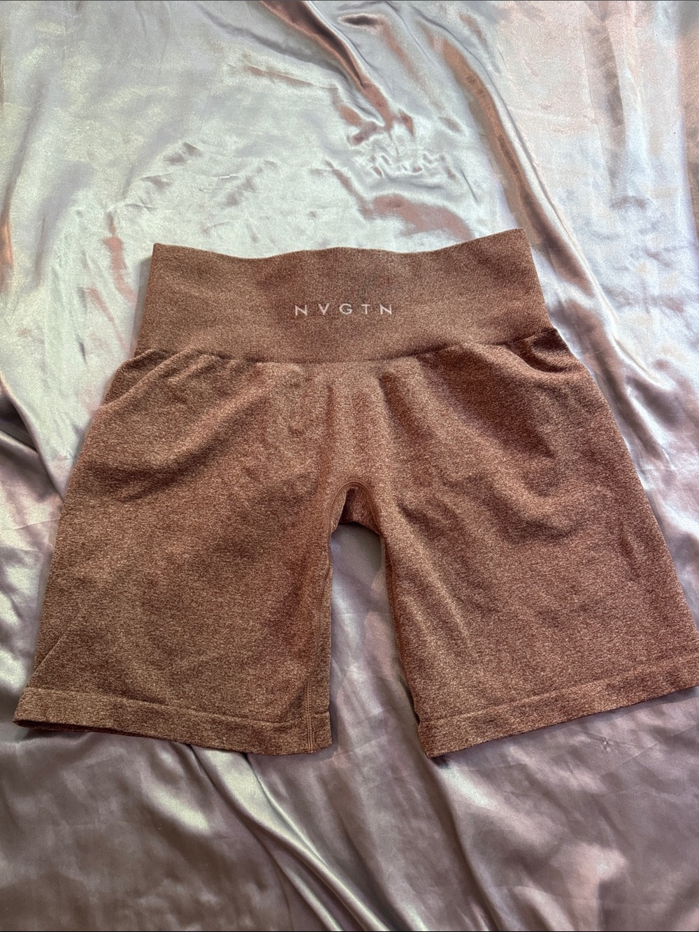 Pro Seamless Shorts